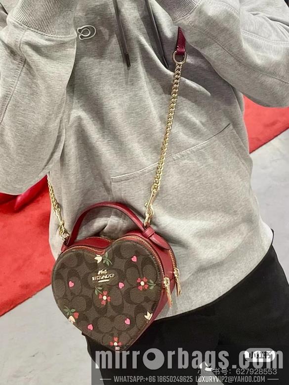 Replica Coach Bags 5118  5119 C8040 JH