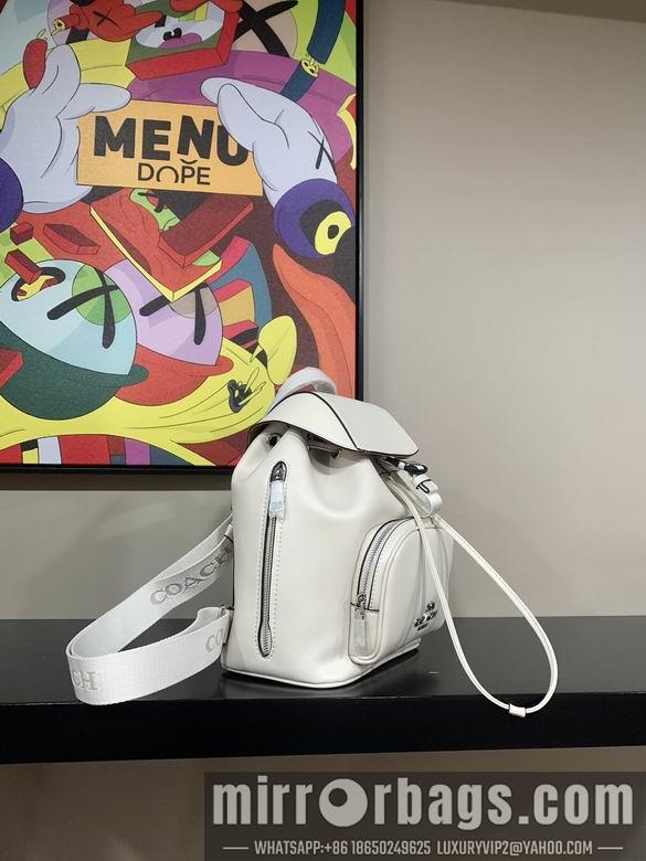 Replica Coach Bags 042801 AZ 3colour