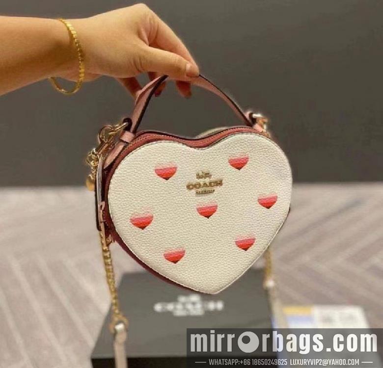 Replica Coach Bags 5118  5119 C8040 JH