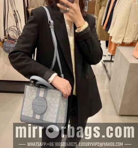 Replica Coach Bags C8417 22X20X11cm AZ 2colour