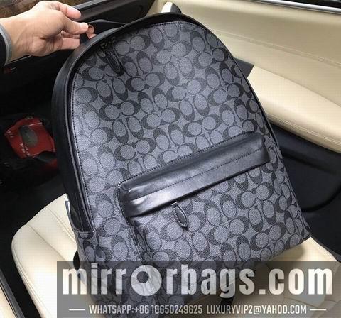 Replica Coach Bags WM0390-1