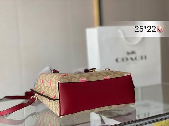 Replica Coach Bags Coach mollie 25x22cm CN