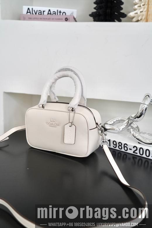 Replica Coach Bags 062302 AZ 4colour