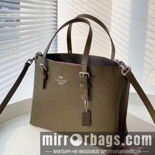 Replica Coach Bags Coach C4250 25x19x110cm zy