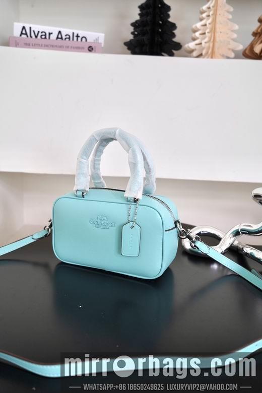 Replica Coach Bags 062302 AZ 4colour