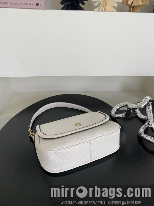 Replica Coach Bags 062301 AZ 4colour