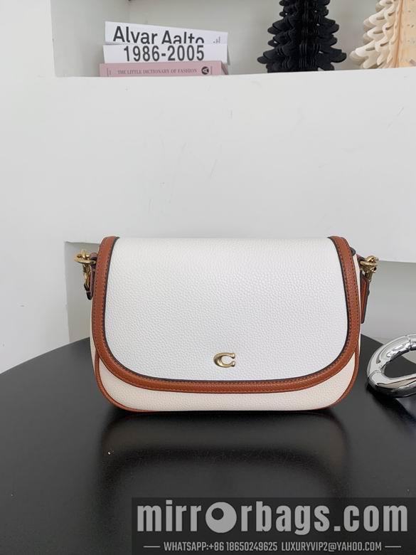 Replica Coach Bags 062301 AZ 4colour
