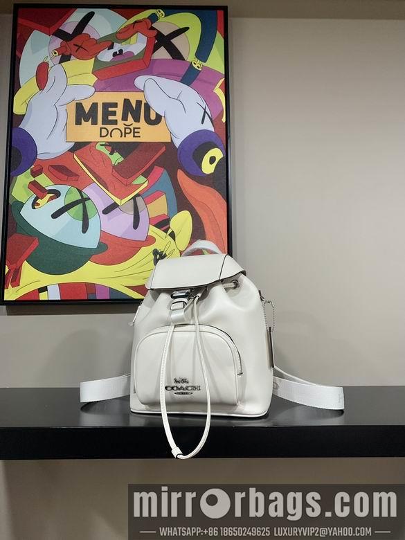 Replica Coach Bags 042801 AZ 3colour