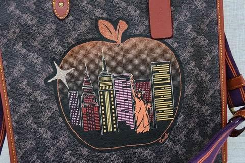 Replica Coach Bags BHC0769 30×30×15