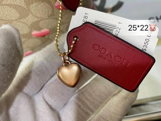 Replica Coach Bags Coach mollie 25x22cm CN