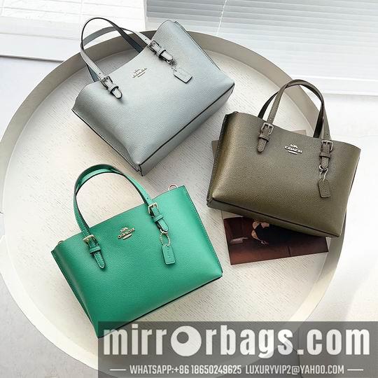 Replica Coach Bags Coach C4250 25x19x110cm zy