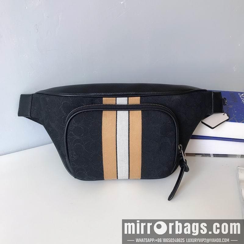 Replica Coach Bags C5386 32X15cm 3 Colors JH