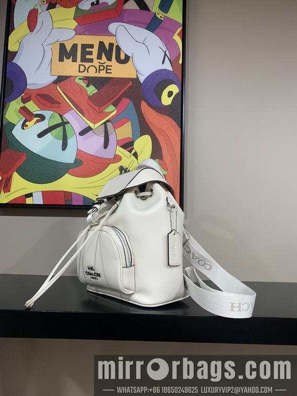 Replica Coach Bags 042801 AZ 3colour