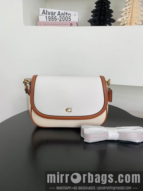 Replica Coach Bags 062301 AZ 4colour