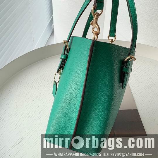 Replica Coach Bags Coach C4250 25x19x110cm zy2