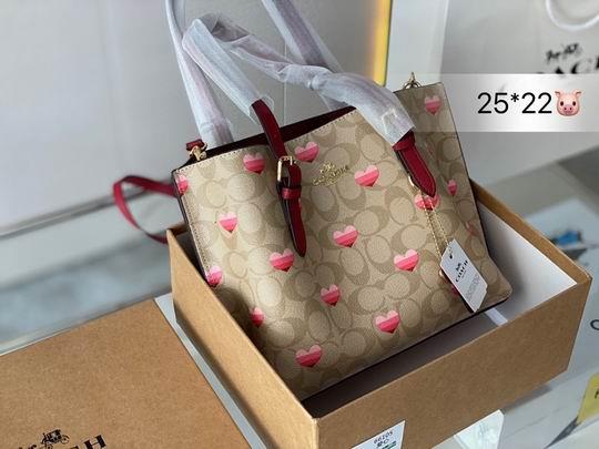 Replica Coach Bags Coach mollie 25x22cm CN
