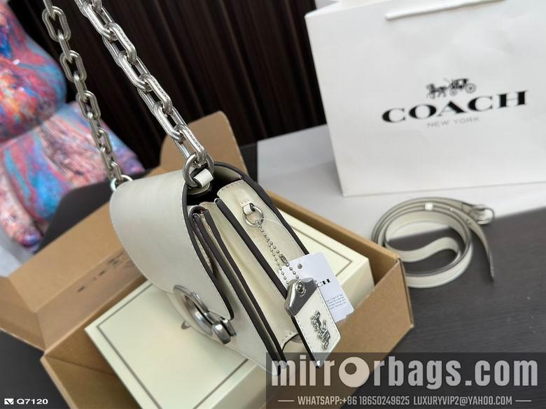 Replica Coach Bags 21X13cm 102506 DN 3colour