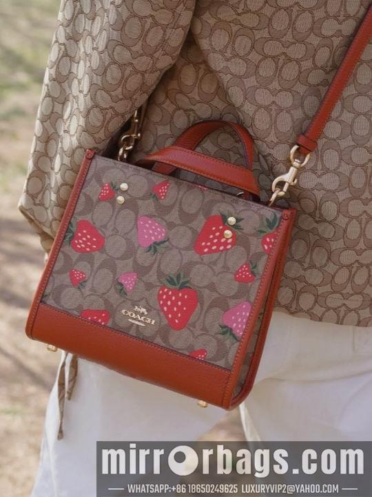 Replica Coach Bags CH324 22X21X12cm AZ