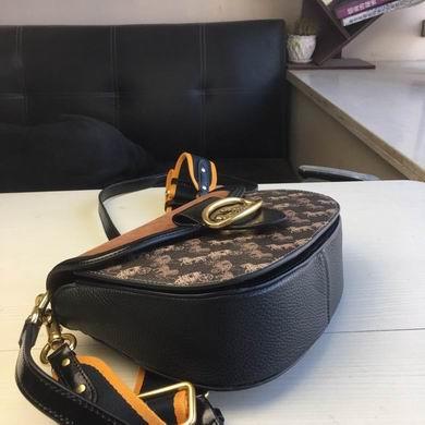 Replica Coach Bags BH88249 17X21X6