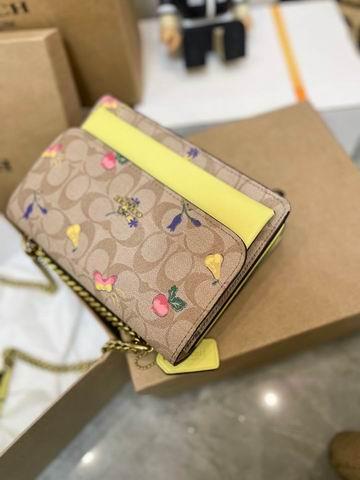 Replica Coach Bags Coach Klare 22x15cm CN