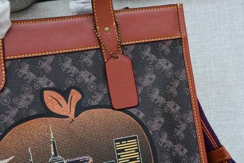 Replica Coach Bags BHC0769 30×30×15