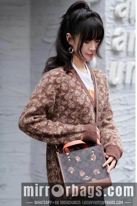 Replica Coach Bags cc769 22X20X11cm AZ