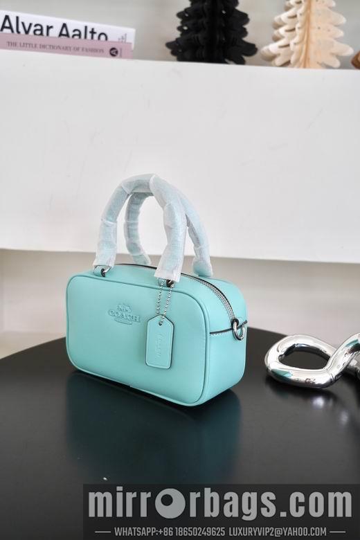 Replica Coach Bags 062302 AZ 4colour