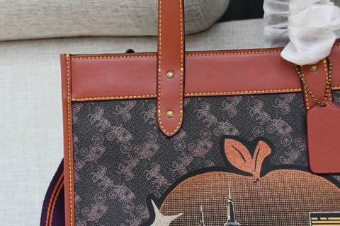 Replica Coach Bags BHC0769 30×30×15