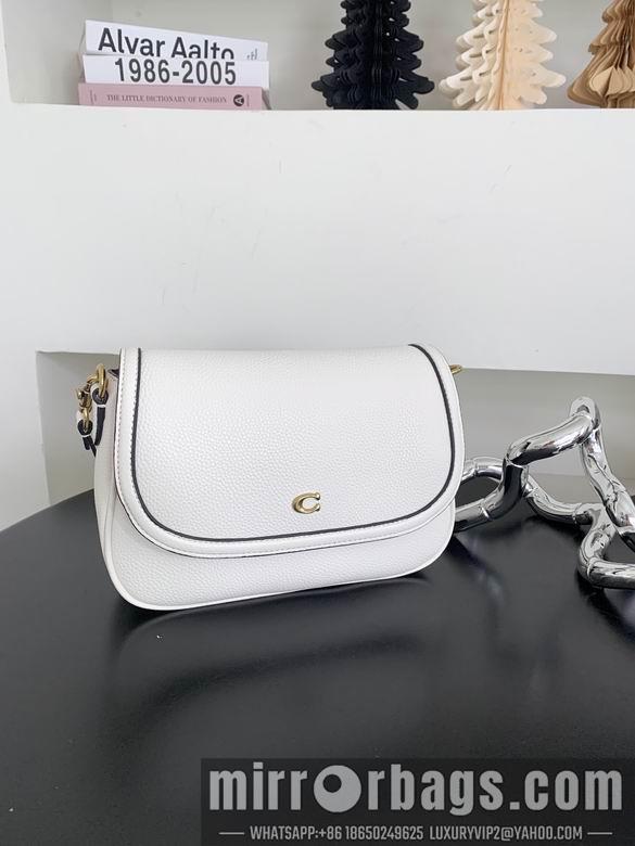 Replica Coach Bags 062301 AZ 4colour