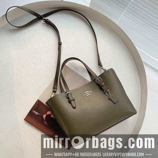 Replica Coach Bags Coach C4250 25x19x110cm zy
