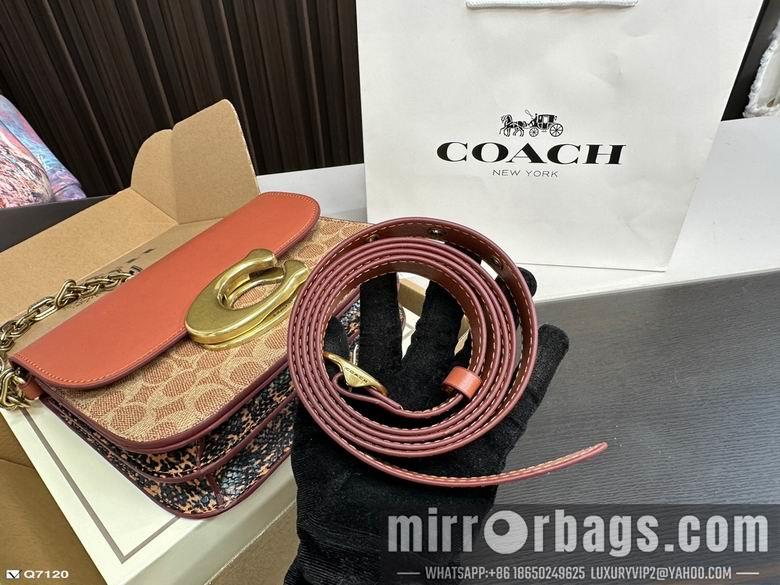 Replica Coach Bags 21X13cm 102506 DN 3colour
