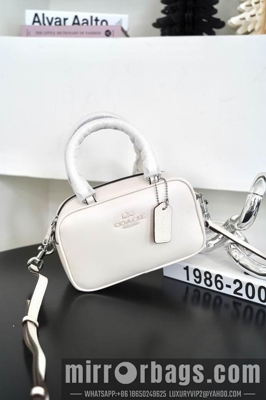Replica Coach Bags 062302 AZ 4colour