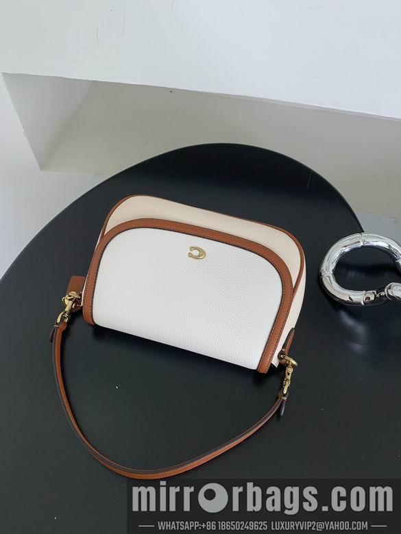 Replica Coach Bags 062301 AZ 4colour