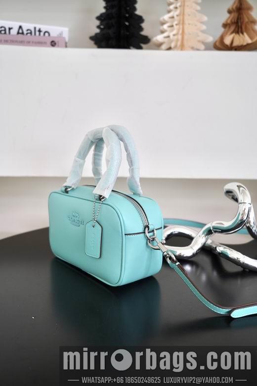 Replica Coach Bags 062302 AZ 4colour