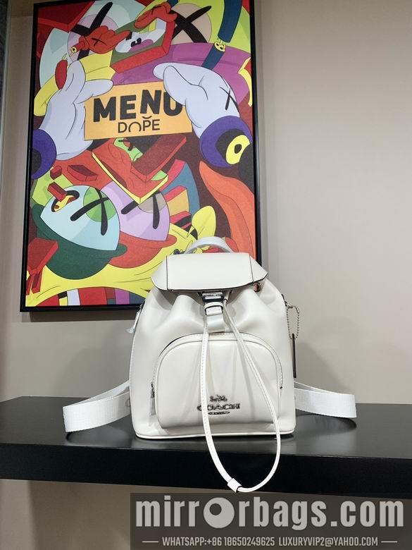 Replica Coach Bags 042801 AZ 3colour