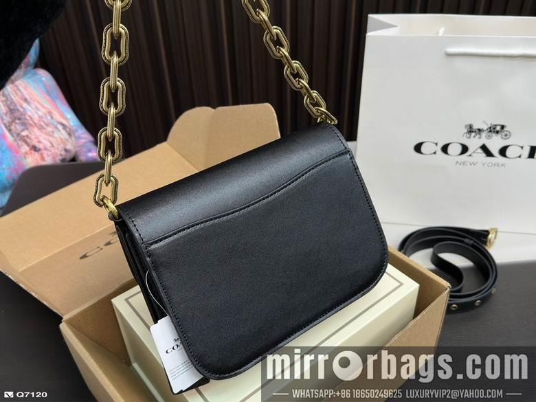 Replica Coach Bags 21X13cm 102506 DN 3colour
