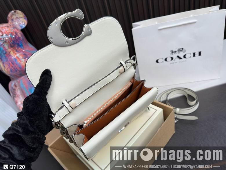 Replica Coach Bags 21X13cm 102506 DN 3colour
