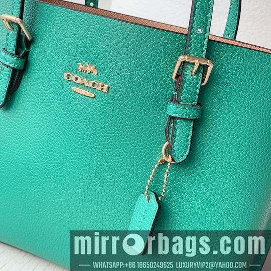Replica Coach Bags Coach C4250 25x19x110cm zy2