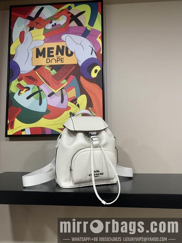 Replica Coach Bags 042801 AZ 3colour