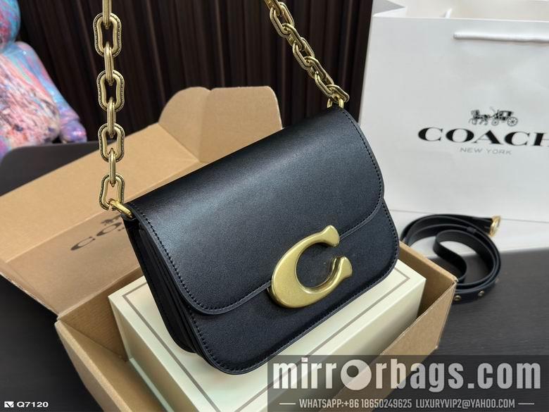 Replica Coach Bags 21X13cm 102506 DN 3colour