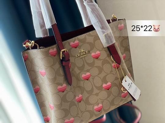 Replica Coach Bags Coach mollie 25x22cm CN