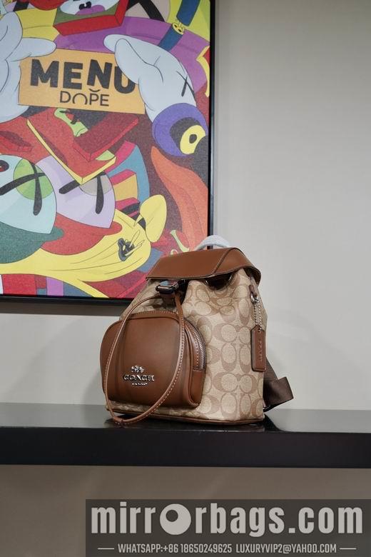 Replica Coach Bags 042801 AZ 3colour