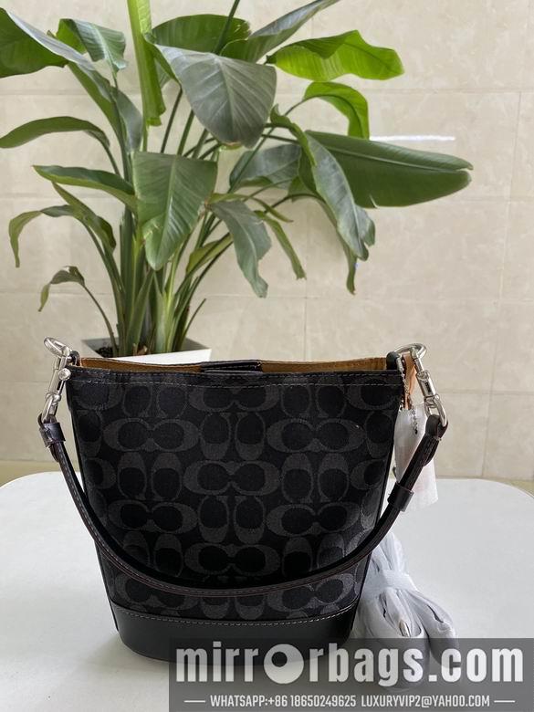 Replica Coach Bags CT132 15.5X19.5X8cm AZ 2colour