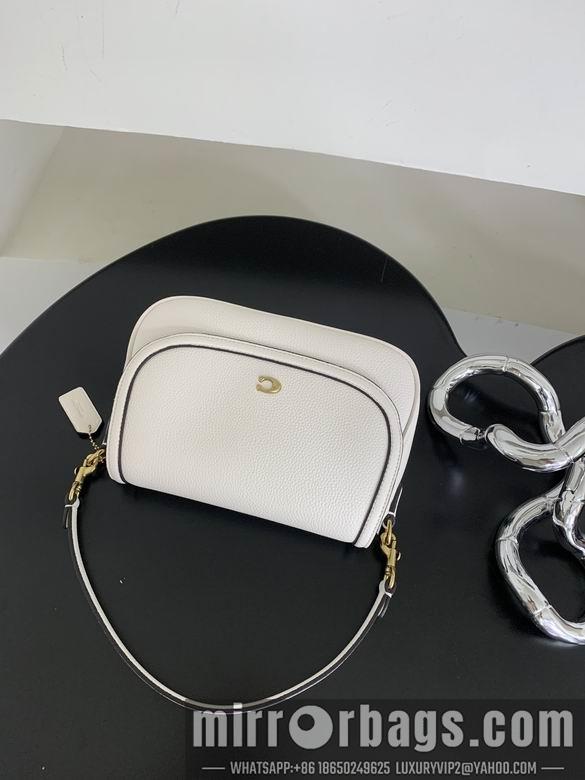 Replica Coach Bags 062301 AZ 4colour