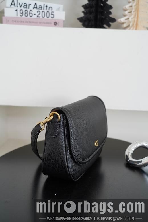 Replica Coach Bags 062301 AZ 4colour