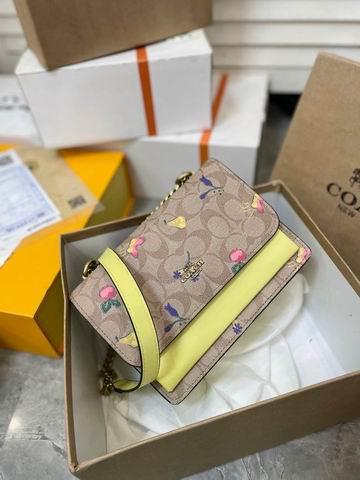 Replica Coach Bags Coach Klare 22x15cm CN
