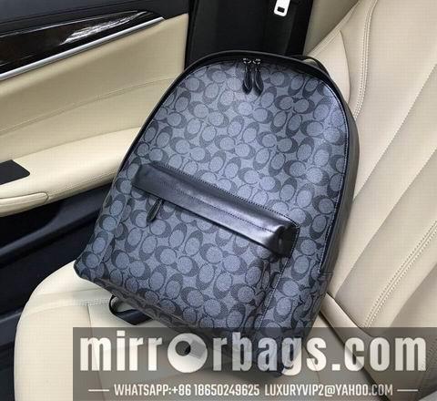 Replica Coach Bags WM0390-1