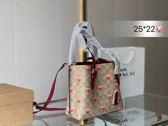 Replica Coach Bags Coach mollie 25x22cm CN