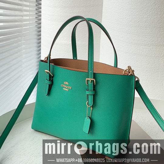 Replica Coach Bags Coach C4250 25x19x110cm zy2