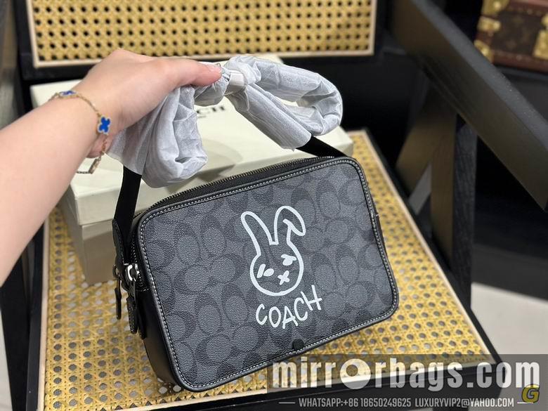 Replica Coach Bags 24X17cm 081710 DN